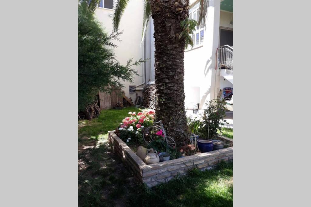 Sweet Home In Aigio Exterior photo